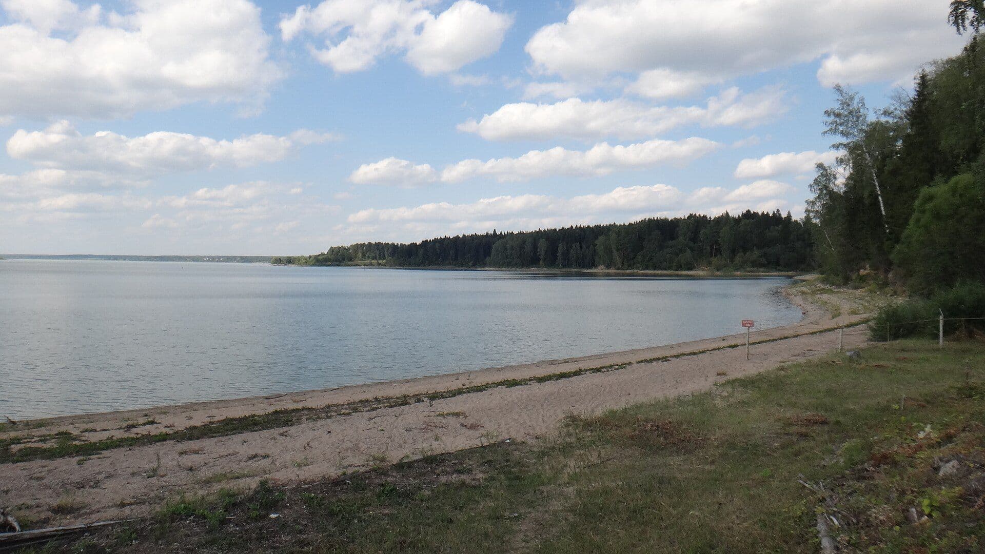 Туманный рассвет на водоёме - Рузский район Подмосковья