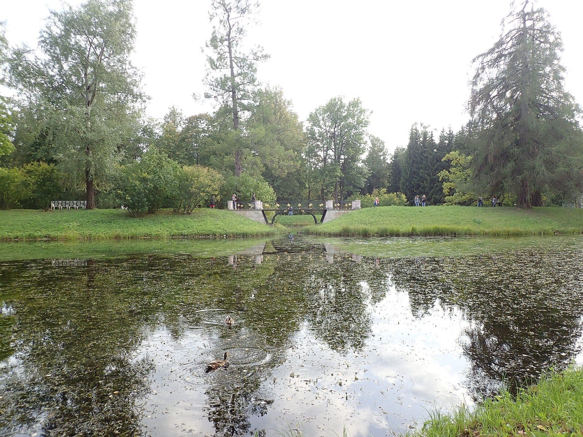 Пруды и аллеи парка