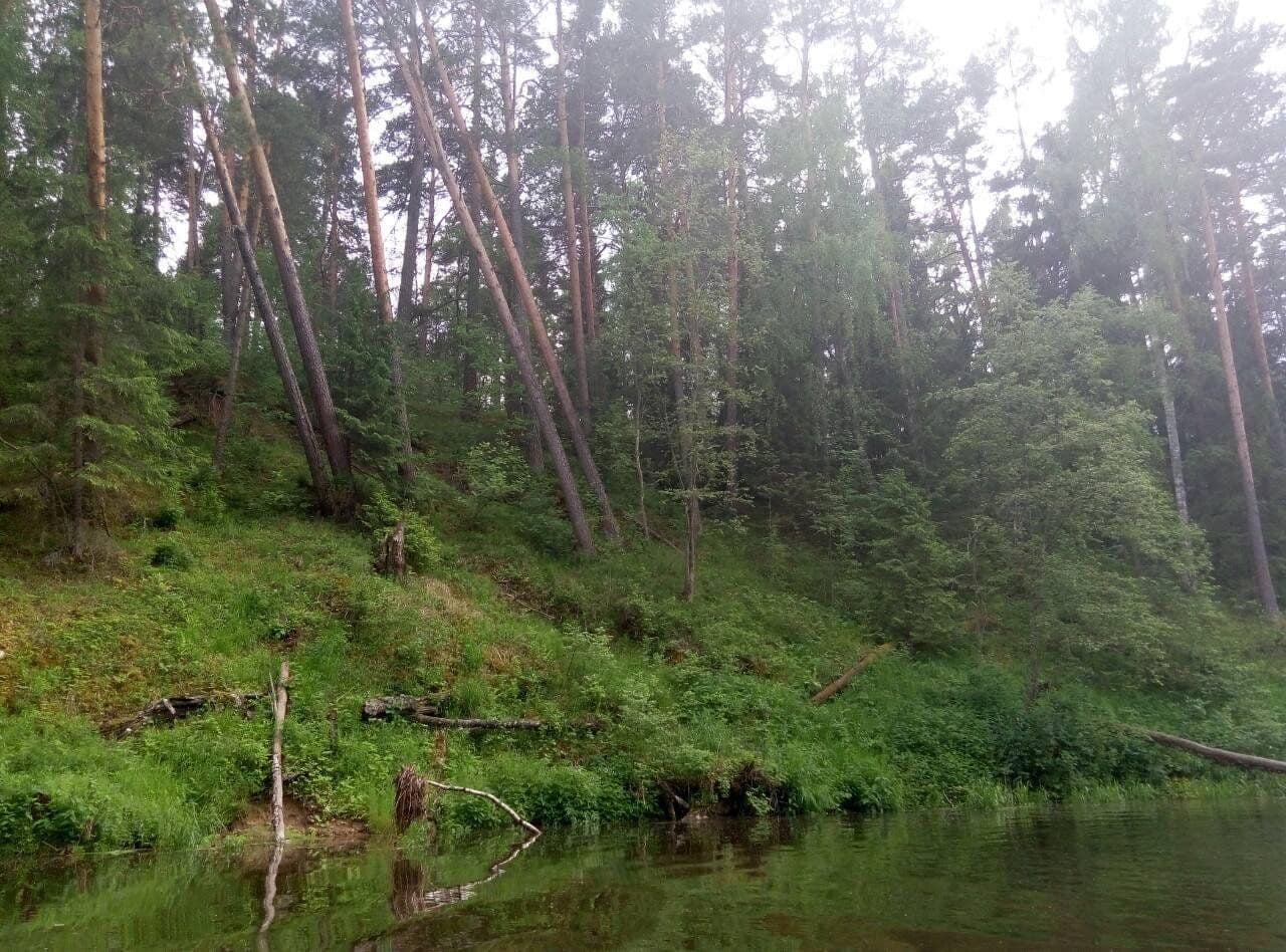 Громовое небо над долиной Нерли