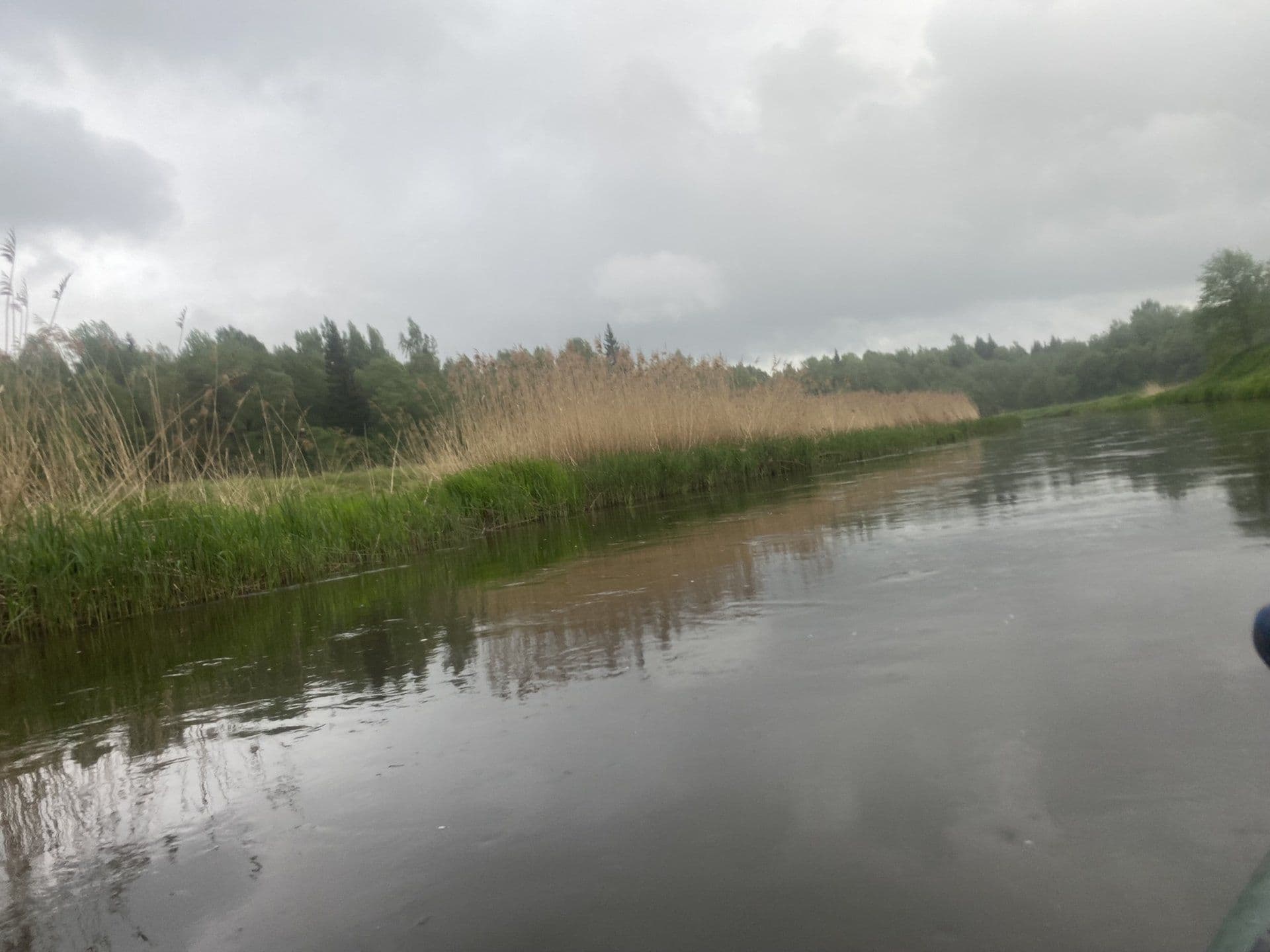 Заросшее камышом русло Нерли Волжской с отражениями в воде