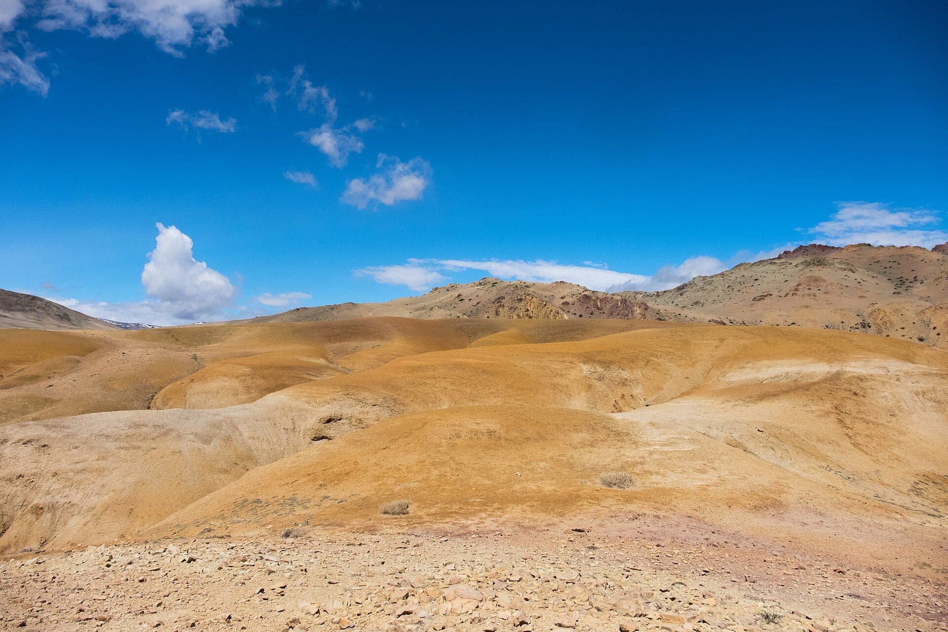 Altai Mountains landscape — главное фото