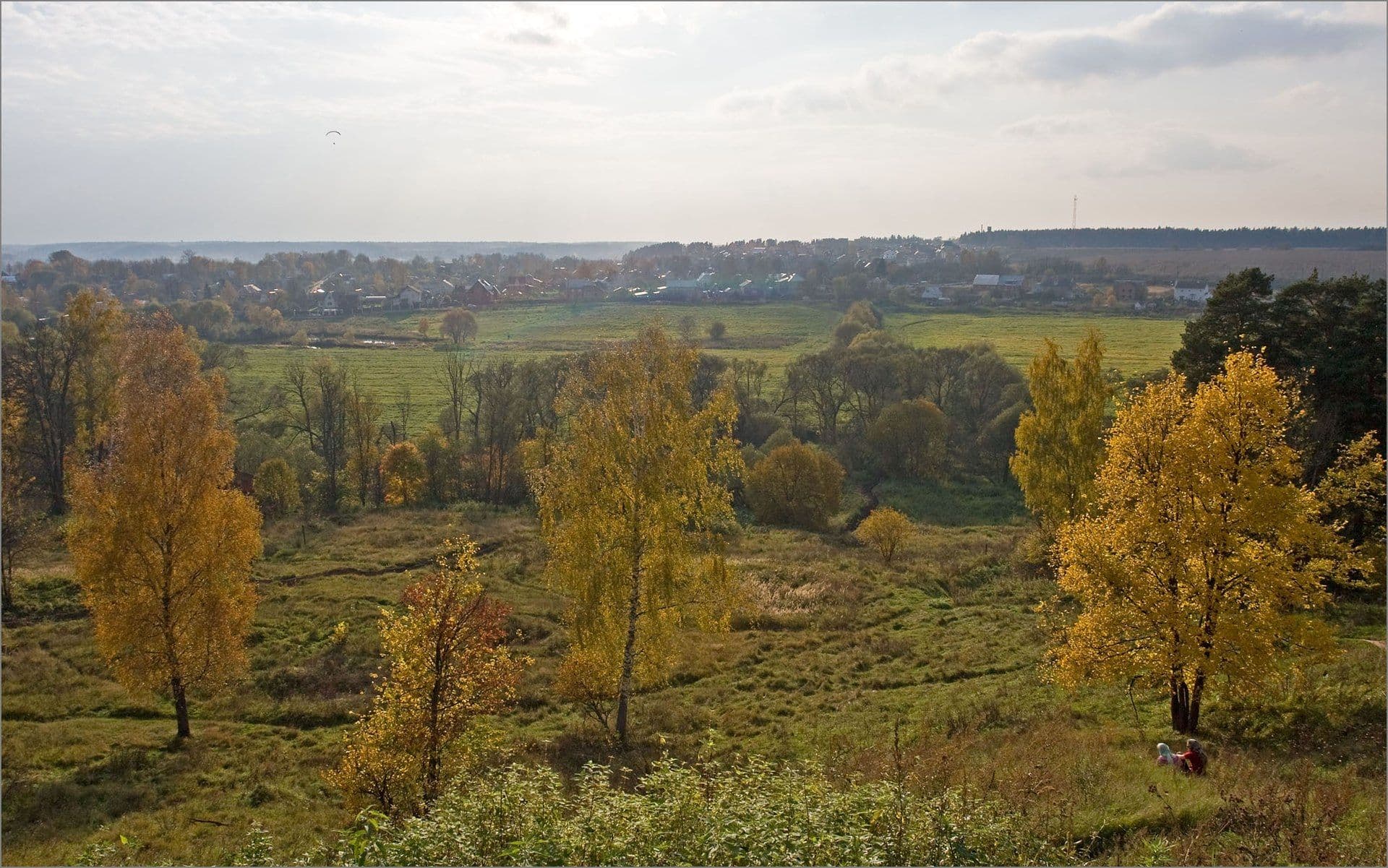 Осенняя панорама окрестностей Звенигорода: жёлтые берёзы на холмах